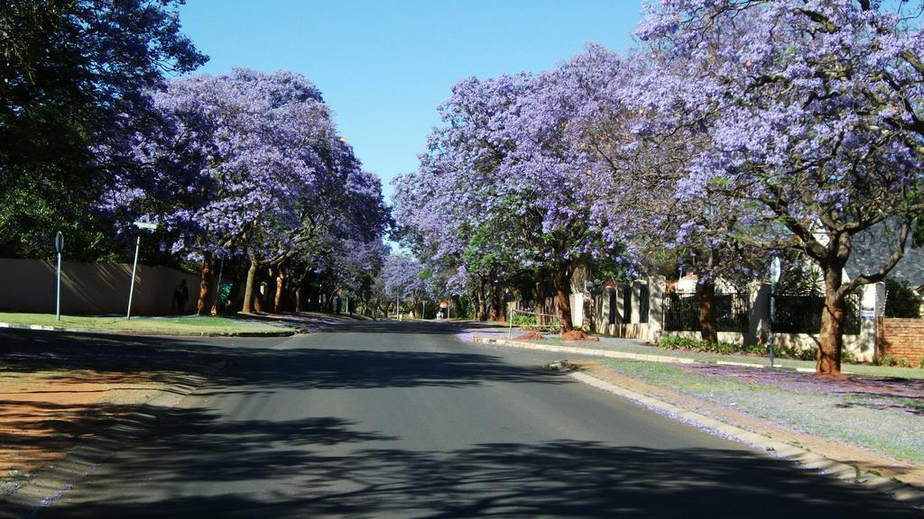 Northcliff Bed And Breakfast Randburg Eksteriør bilde